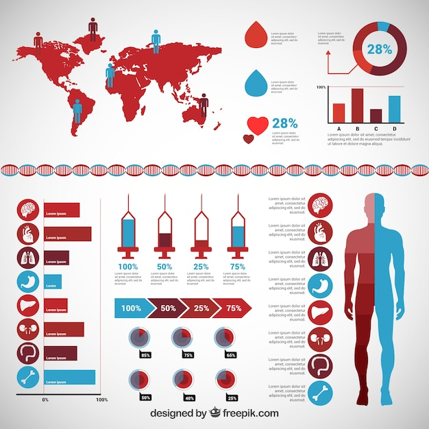 infographic,medical,map,world,world map,health,graphic,medicine,information,care,health care,horizontal,organs