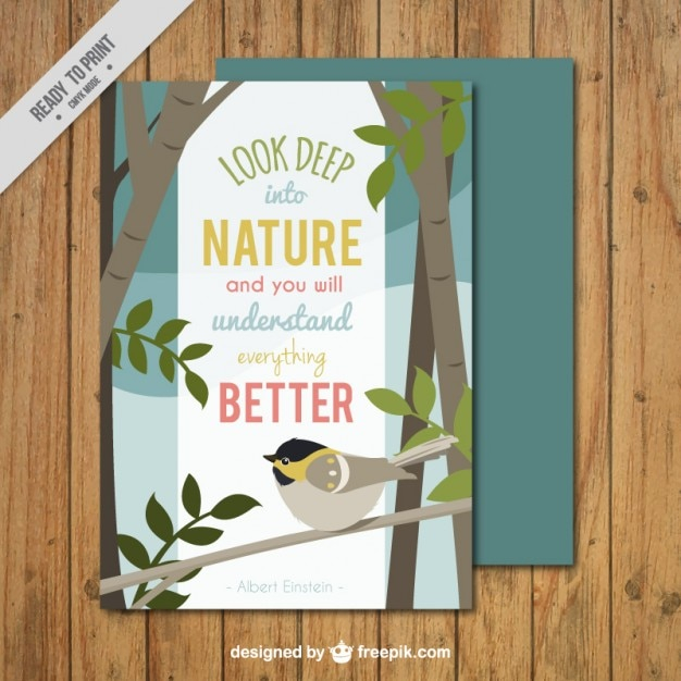 card,nature,bird,forest,quote,spring,plant,natural,blossom,beautiful,woods,bloom,inspirational,vegetation,blooming