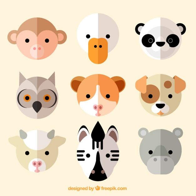 design,dog,nature,animal,cute,animals,bear,owl,tropical,avatar,flat,monkey,flat design,panda,duck,zebra,cute animals,lovely,wild,collection