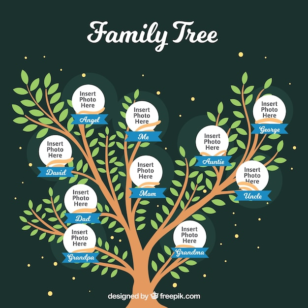 tree,family,template,mother,human,person,father,old,family tree,grandmother,tree branch,parents,branches,grandfather,relationship,adult,nice,generation,sister,brother