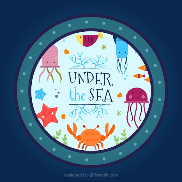background,water,summer,nature,sea,fish,animal,cute,animals,backdrop,ocean,nature background,nautical,love background,marine,cute animals,crab,season,lovely,wild