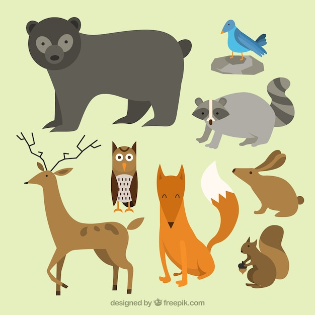 hand,nature,bird,animal,hand drawn,forest,cute,animals,bear,owl,drawing,fox,bunny,cute animals,love birds,squirrel,drawn,lovely,wild,raccoon