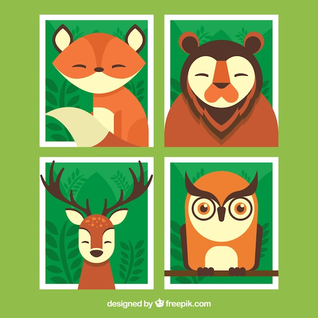 nature,animal,forest,cute,animals,bear,owl,deer,fox,cards,cute animals,beautiful,pack,wild,wildlife,four