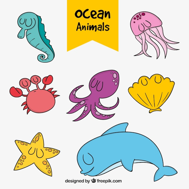 hand,nature,cartoon,animal,hand drawn,cute,animals,drawing,shell,octopus,marine,dolphin,cute animals,crab,drawn,pack,cartoon animals,starfish,sketchy,sketches