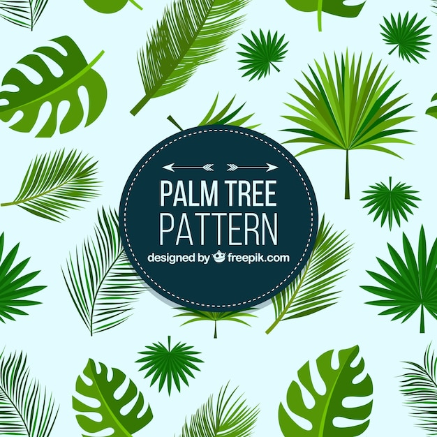 background,pattern,tree,summer,leaf,nature,leaves,tropical,patterns,backdrop,plant,palm tree,seamless pattern,natural,environment,nature background,palm,pattern background,seamless,palm leaf