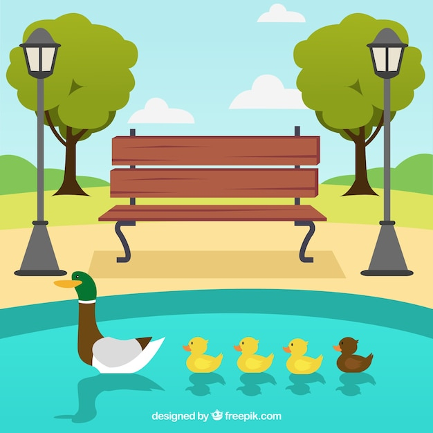 tree,family,nature,bird,animal,park,natural,trees,duck,family tree,lake,bench,ducks