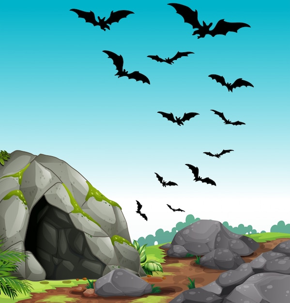 background,nature,cartoon,bird,animal,sky,landscape,art,graphic,tropical,rock,drawing,environment,nature background,stone,picture,outdoor,scenery,clip art,sky background