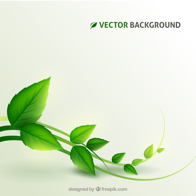  background, green, nature, green background, leaves, plant, natural, nature background, background green, green leaves, vegetation