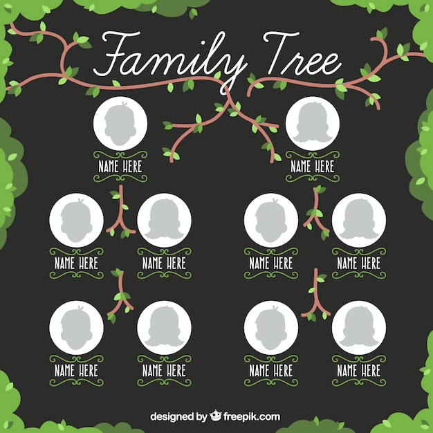 tree,family,leaves,mother,human,person,father,old,family tree,grandmother,parents,branches,grandfather,relationship,adult,pretty,generation,sister,brother,son