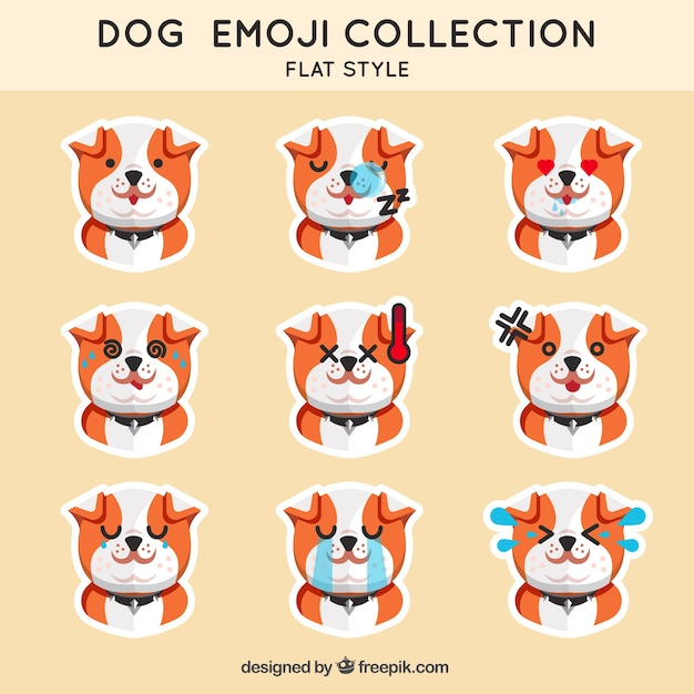 dog,animal,face,cute,smile,happy,animals,emoticon,smiley,fun,funny,characters,emotion,cute animals,expression,puppy,happy face,laugh,collection,smiley face