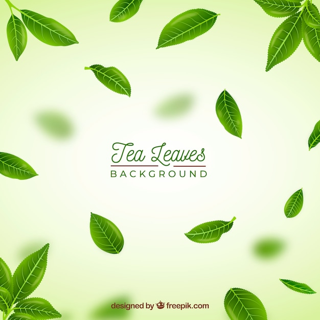  background, leaf, green, health, leaves, tea, time, colorful, backdrop, drink, cup, organic, healthy, bio, tea cup, tea leaves, set, realistic, tea time