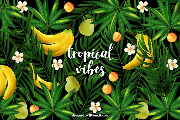  background, floral, leaf, floral background, nature, fruit, leaves, tropical, plant, natural, banana, nature background, palm, beautiful, peach, palm leaf, wild, realistic, palm leaves, exotic