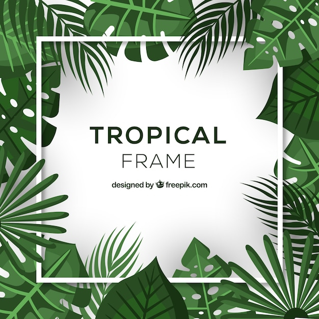  frame, floral, flowers, template, leaf, nature, leaves, tropical, plant, creative, jungle, natural, palm, blossom, beautiful, paradise, realistic, palm leaves, bloom, vegetation