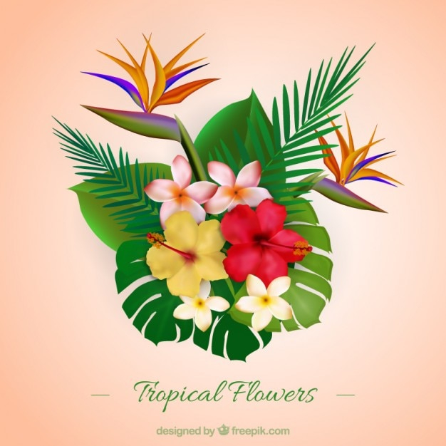 flower,floral,flowers,design,nature,sticker,spring,leaves,tropical,flat,plant,natural,flat design,palm,blossom,beautiful,spring flowers,wild,tropical flower,realistic