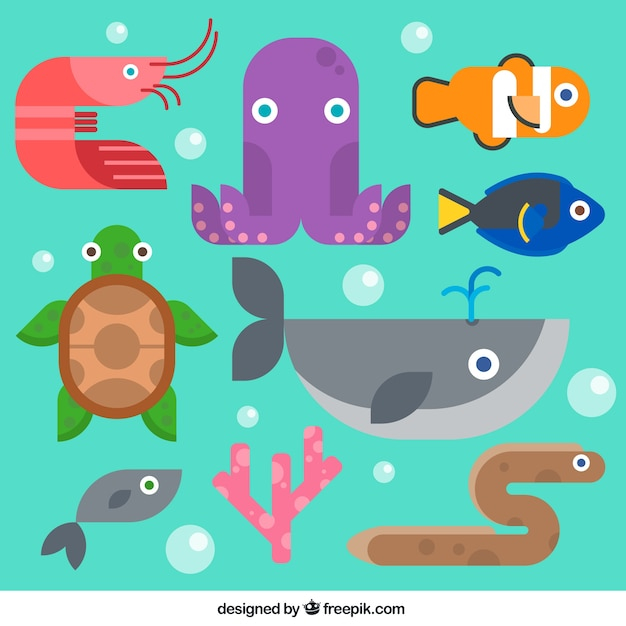 water,design,sea,fish,animal,cute,animals,flat,ocean,flat design,seafood,turtle,octopus,whale,underwater,cute animals,lovely,prawn