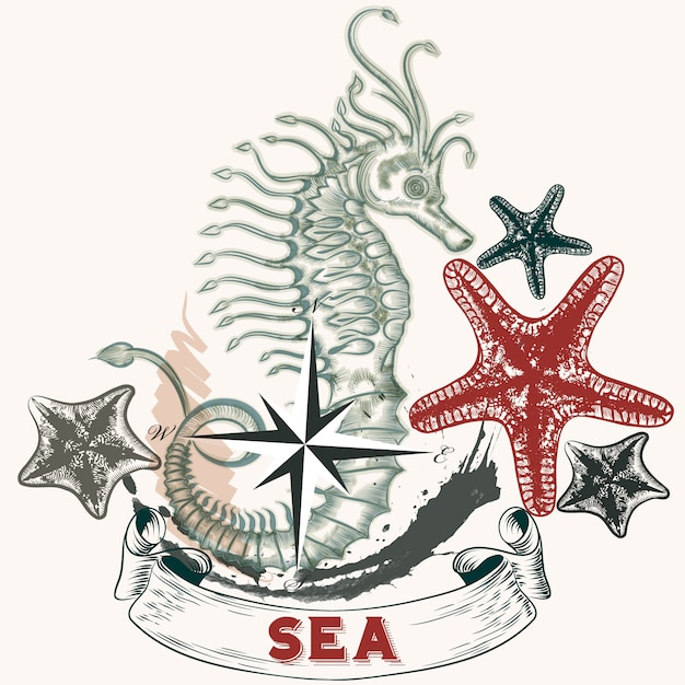 background,design,hand,sea,hand drawn,wallpaper,color,horse,backdrop,colorful background,colour,colourful background,drawn,background color,starfish,collection,set,colored,sea horse,coloured