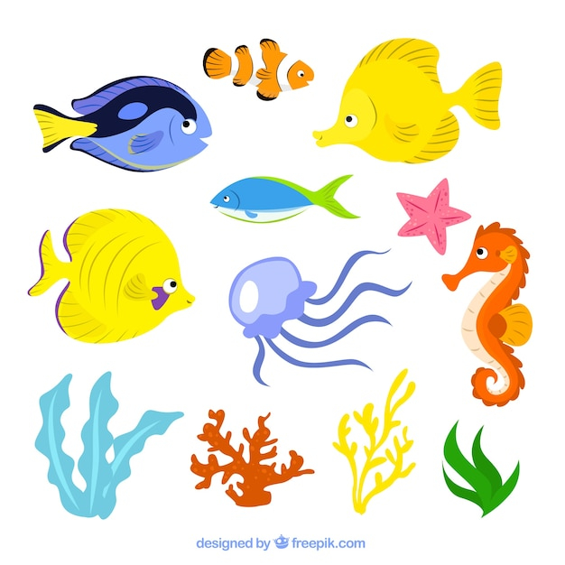 water,sea,fish,animal,illustration,seafood,life,underwater,coral,jellyfish,seahorse,sealife,illustrated