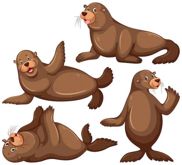 nature,sea,cute,art,lion,drawing,seal,illustration,four,poses