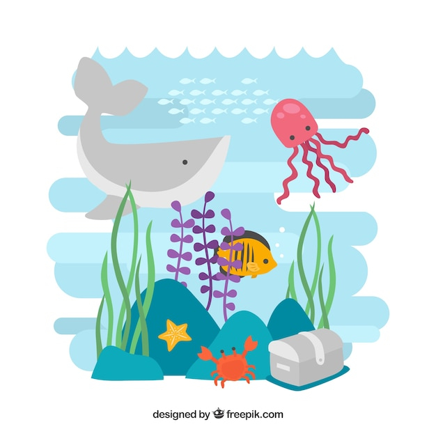 background,summer,nature,sea,fish,animal,cute,animals,ocean,nature background,floor,octopus,whale,marine,cute animals,crab,season,wild,starfish,sea animals
