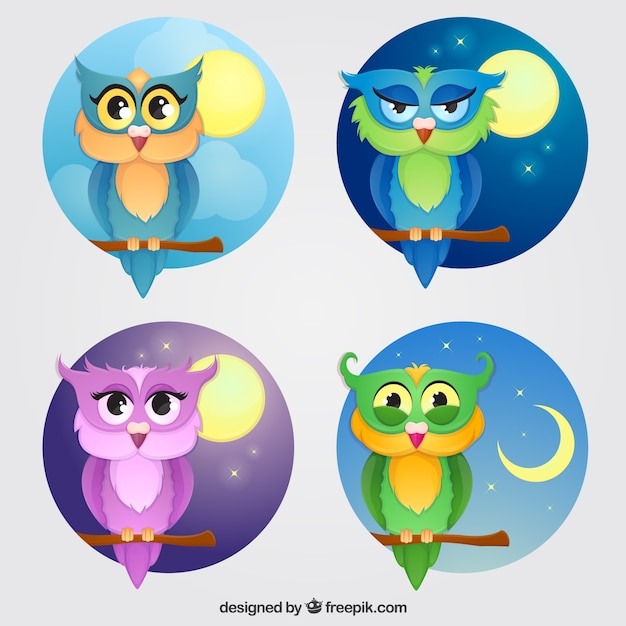 background,nature,character,bird,animal,cute,color,moon,colorful,owl,feather,wings,backgrounds,colorful background,nature background,cute animals,bright,background color,wild,shiny