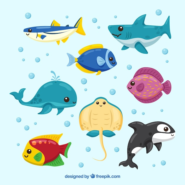 water,hand,cartoon,sea,fish,animal,hand drawn,animals,colorful,ocean,colors,shark,whale,marine,style,drawn,pack,aqua,collection,set