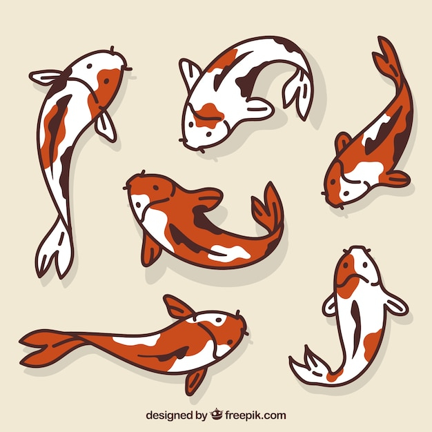water,hand,cartoon,sea,fish,animal,hand drawn,animals,colorful,ocean,colors,marine,style,drawn,pack,aqua,collection,set,fishes,sealife