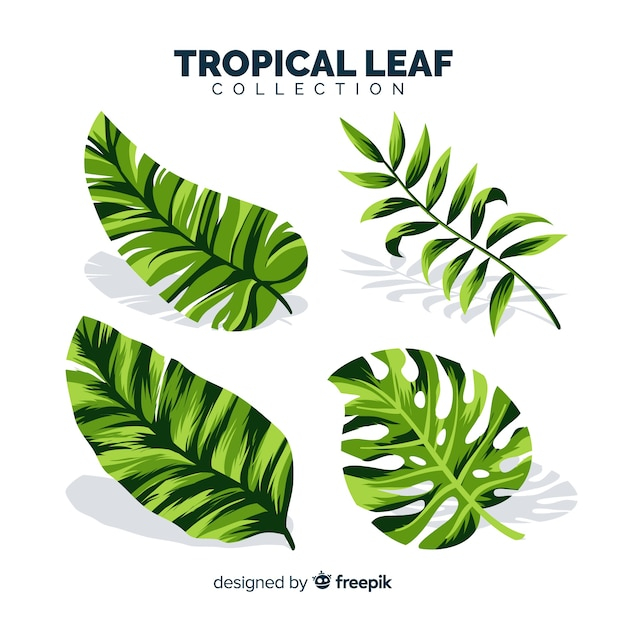  flower, floral, flowers, design, leaf, green, nature, leaves, tropical, flat, plant, natural, flat design, plants, palm, green leaves, blossom, beautiful, palm leaf, tropical flowers