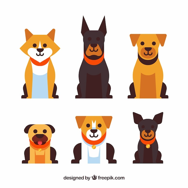 design,dog,animal,cute,flat,pet,flat design,dogs,cute animals,domestic,breed,canine,several