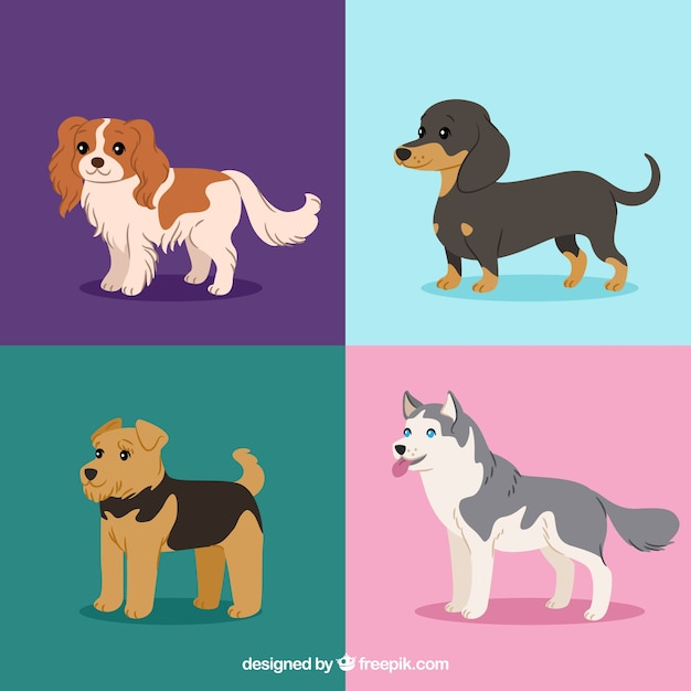 design,dog,animal,cute,color,flat,pet,flat design,dogs,cute animals,collection,colored,domestic,breed,canine,several