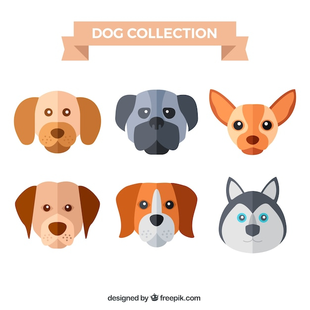design,dog,animal,face,flat,pet,flat design,faces,collection,domestic,breed,canine,several