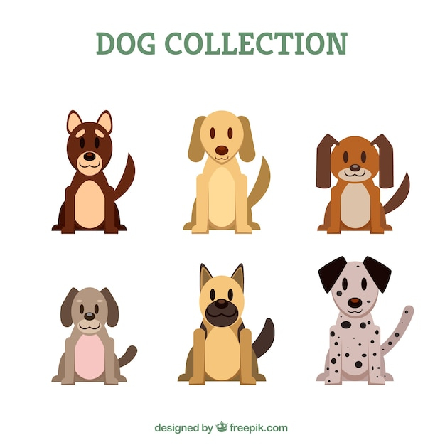 design,dog,animal,color,flat,pet,flat design,dogs,collection,domestic,breed,canine,several