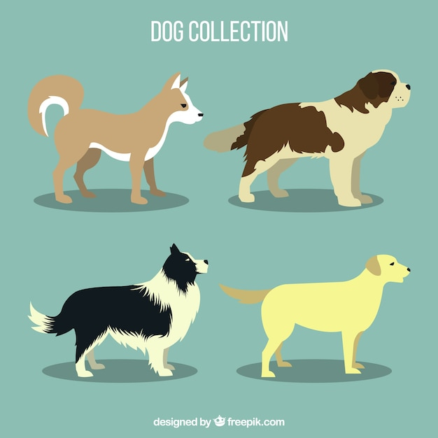 design,dog,animal,color,flat,pet,profile,flat design,dogs,collection,domestic,breed,canine,several