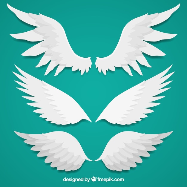 design,angel,feather,wings,flat,decoration,flat design,wing,decorative,freedom,flight,angel wings,heaven,several