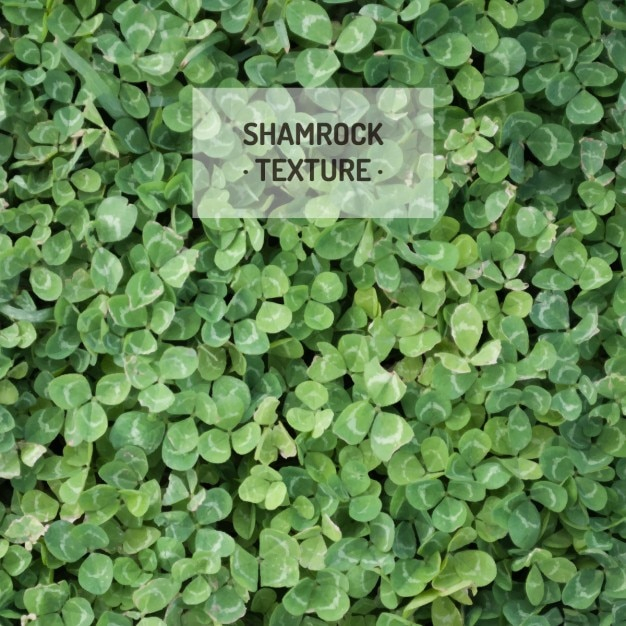 background,pattern,texture,green,nature,green background,spring,seamless pattern,nature background,pattern background,background green,texture background,clover,seamless,spring background,day,background texture,st patricks day,irish,shamrock