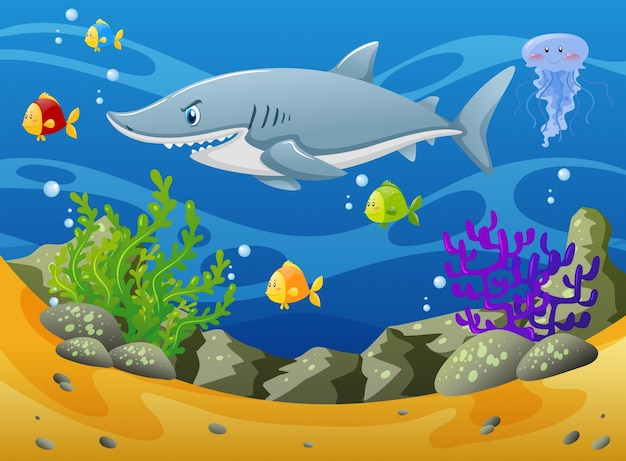 Free: Shark and other sea animals underwater 