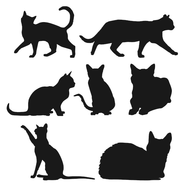  nature, animal, cat, cute, black, animals, silhouette, pet, play, cats, shadow, walk, sitting, silhouettes, sit, kitten, position, posture, feline, purr