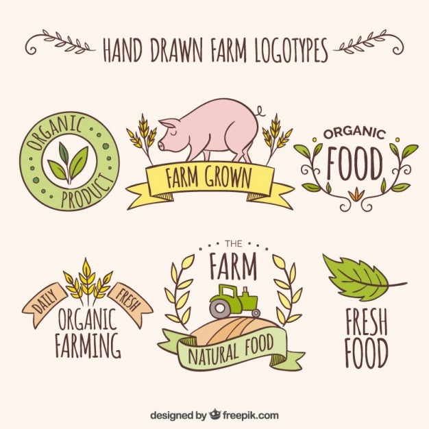 logo,business,hand,leaf,nature,hand drawn,farm,cute,leaves,vegetables,animals,logos,corporate,wheat,eco,company,drawing,organic,corporate identity,pig