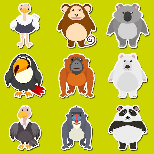 background,design,template,nature,character,cartoon,sticker,bird,animal,cute,art,animals,graphic,bear,tropical,monkey,drawing,illustration,nature background