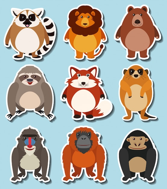 background,design,nature,character,cartoon,sticker,animal,cute,art,lion,animals,graphic,bear,tropical,monkey,drawing,illustration,nature background,cartoon character