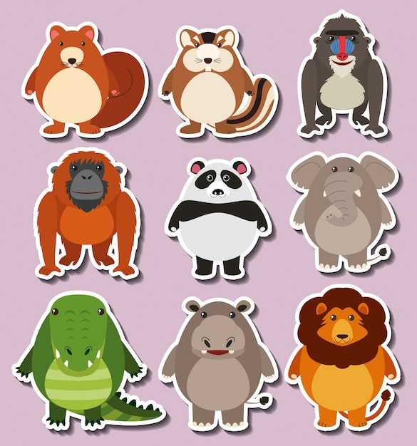background,design,template,nature,character,sticker,animal,cute,art,lion,animals,graphic,tropical,elephant,drawing,illustration,nature background,group,panda