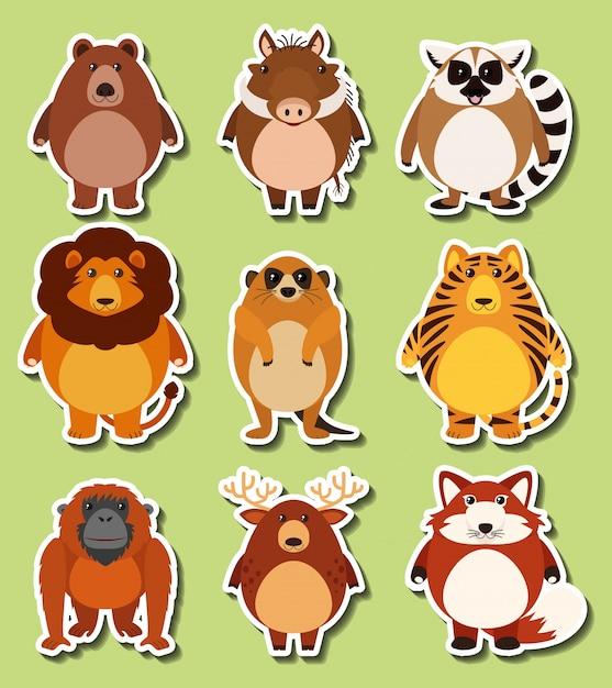 background,design,template,nature,character,sticker,animal,cute,art,lion,animals,graphic,bear,tropical,deer,drawing,wolf,tiger,illustration