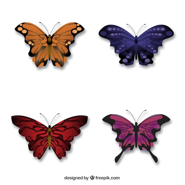nature,animal,butterfly,natural,fly,butterflies,flying,insects,stylish