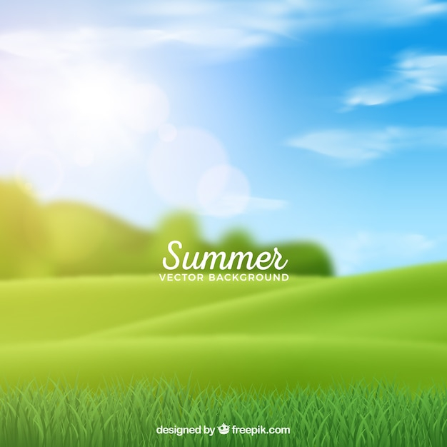  background, summer, nature, sun, landscape, grass, holiday, tropical, backdrop, ocean, plants, vacation, field, sunshine, season, countryside, blurred, meadow, realistic, summertime, exotic, seasonal