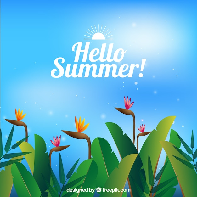 background,flowers,summer,nature,beach,sea,sun,holiday,colorful,backdrop,plants,vacation,sunshine,season,summertime,seasonal