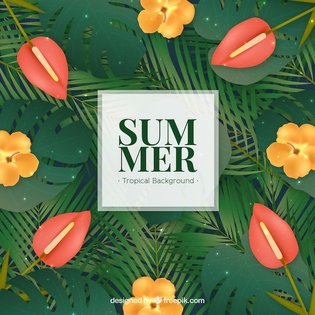 background,flower,floral,flowers,summer,nature,beach,sea,sun,leaves,holiday,tropical,backdrop,plant,natural,palm,vacation,blossom,sunshine,beautiful