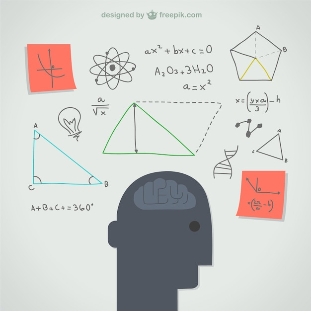 infographic,education,brain,science,human,thinking,illustration,Education infographic,mind,infography,intelligence,scientific