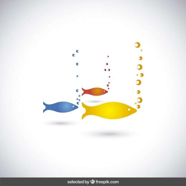 icon,fish,animal,icons,bubble,colorful,bubbles,swim,three,colored,fishes,isolated