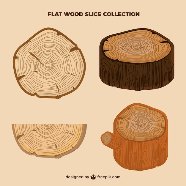 tree,wood,nature,forest,flat,branch,tree branch,style,cut,rings,roots,log,naturaleza,bosque,lumberjack,firewood,bark,rama,slices,logging