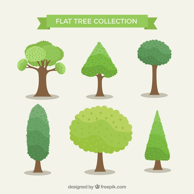 tree,nature,forest,eco,organic,park,natural,trees,plants,pack,woods,collection,set,different,foliage,ecological,vegetation,grove,species,with