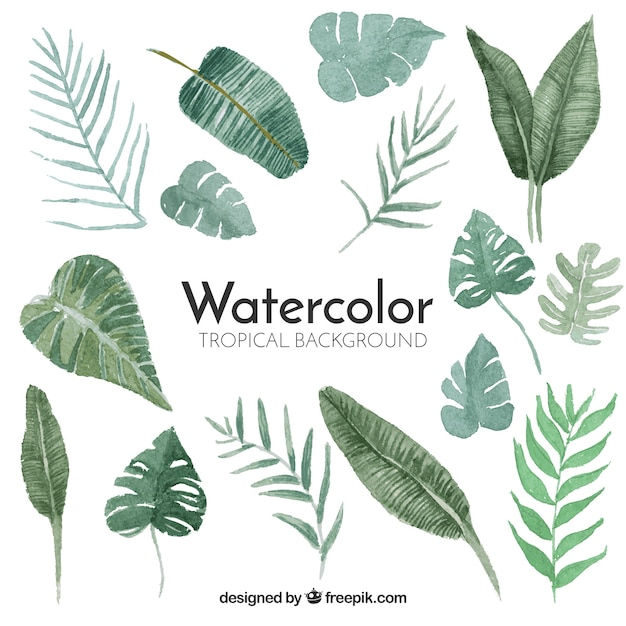 background,watercolor,leaf,watercolor background,leaves,tropical,plants,style,watercolor leaves,leafs,tropical leaves,watercolor leaf,tropical leaf,tropical plants,with